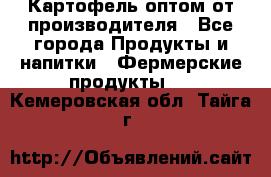 Картофель оптом от производителя - Все города Продукты и напитки » Фермерские продукты   . Кемеровская обл.,Тайга г.